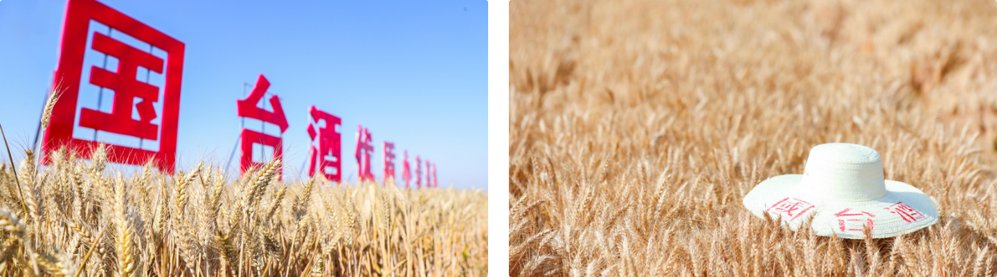 组 494.png